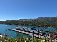 IMG_1825