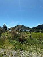 IMG_1824