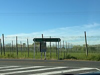IMG_1760