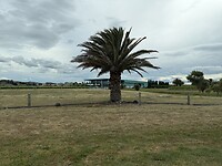 IMG_2158
