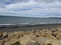 IMG_2141