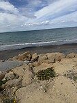 IMG_2143