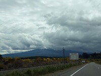 IMG_2328