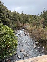 IMG_2411