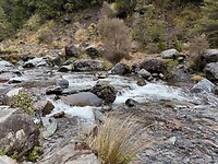 IMG_2402