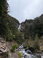 IMG_2388