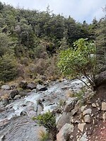 IMG_2390