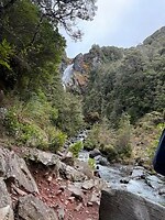 IMG_2386