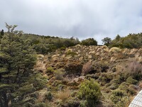IMG_2376