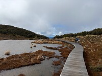 IMG_2382