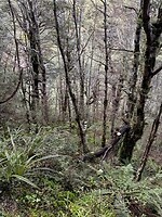 IMG_2372