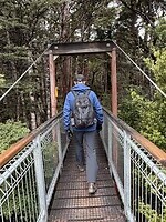 IMG_2370