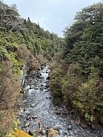 IMG_2368