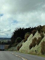 IMG_2352