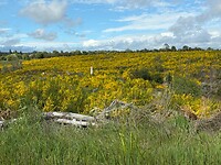 IMG_2488