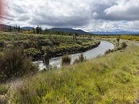 IMG_2482