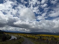 IMG_2478