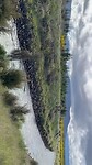 IMG_2485