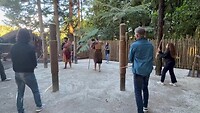 Smash the pole