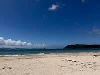 IMG_2978