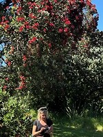 IMG_9528