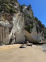 IMG_9534