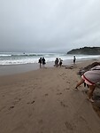 IMG_3002