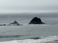 IMG_2991