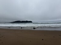 IMG_2998
