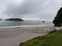 IMG_2990