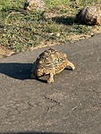 IMG_2332