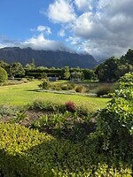 IMG_7546