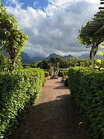 IMG_7539