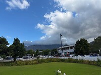 IMG_7536