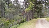 20180826_113232