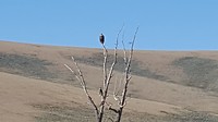 20180901_092210_001