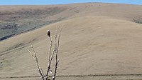 20180901_092134_001