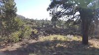 20180928_103358