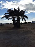 20190130_113848