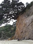 20170929_123431[1]