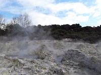 20171003_094741[1]