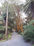 20171003_095700[1]