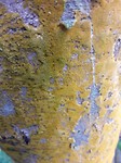 20171003_095948[1]