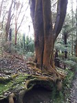 20171003_100046[1]