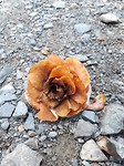 20171003_100349[1]