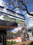 20171003_132933[1]