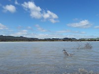 20171004_111413[1]