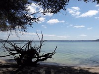 20171004_120601[1]