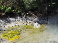 20171004_131430[1]