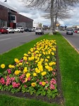 20171005_122556[1]